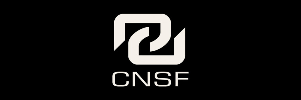 ¿Cuáles son las autoridades del Sistema Financiero Mexicano? - CNSF